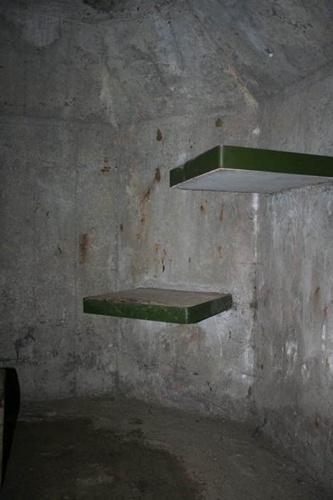 IMG_8223.JPG