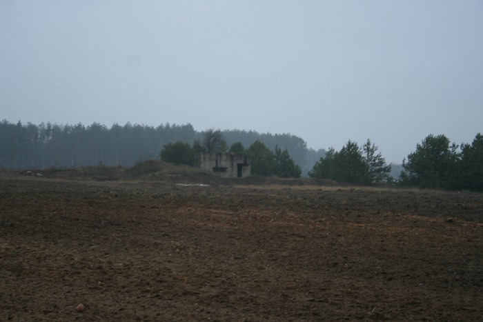 IMG_8880.JPG