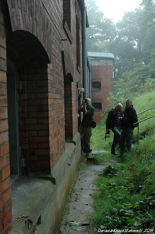 08.jpg