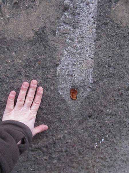 WrocÂław LSR - ul. JĂłzefa Lompy 28 (3).jpg