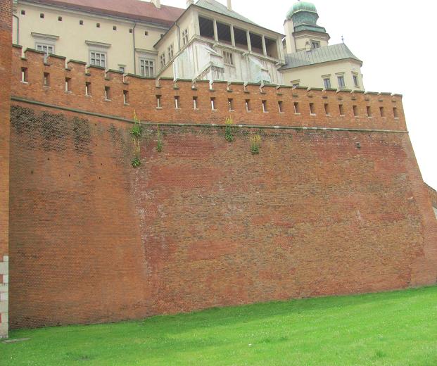 15. Cytadela Wawel.JPG