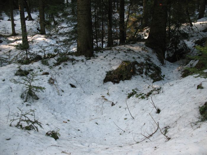 okop przecinajÂący ÂżĂłÂłty szlak z Kopciowej na Runek?