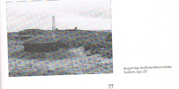 Nowy-1.jpg